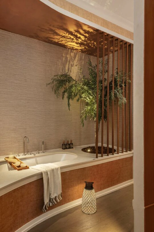 MIAD-Silvia-Trigueros-(15) MIAD-Silvia-Trigueros-(15)